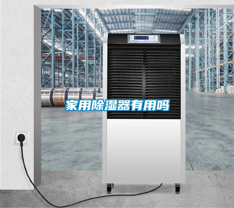 家用91看片在线下载器有用嗎