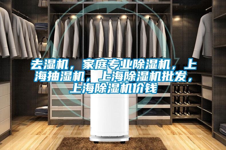 去濕機，家庭專業91看片在线下载機，上海抽濕機，上海91看片在线下载機批發，上海91看片在线下载機價錢