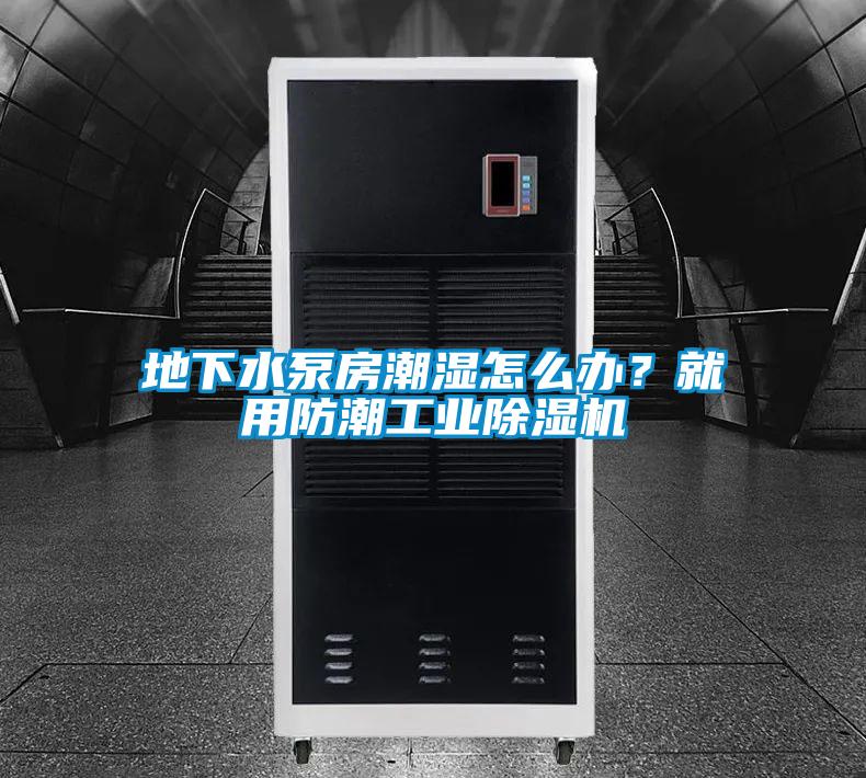 地下水泵房潮濕怎麽辦？就用防潮工業91看片在线下载機