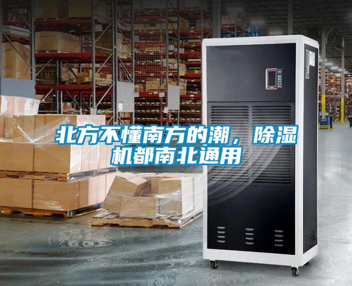 北方不懂南方的潮，91看片在线下载機都南北通用