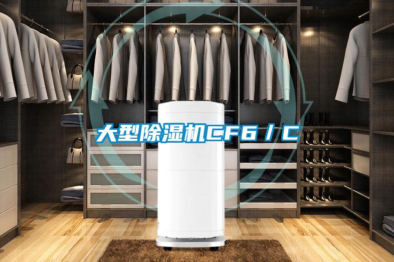 大型91看片在线下载機CF6／C
