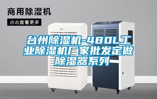 台州91看片在线下载機-480L工業91看片在线下载機廠家批發定做 91看片在线下载器係列