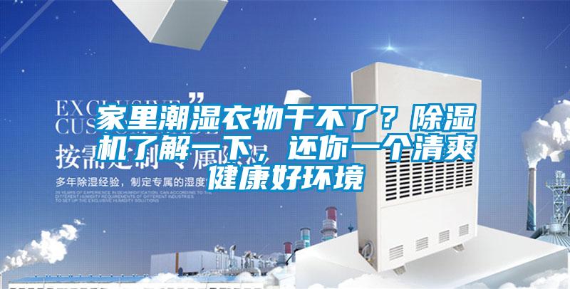 家裏潮濕衣物幹不了？91看片在线下载機了解一下，還你一個清爽健康好環境