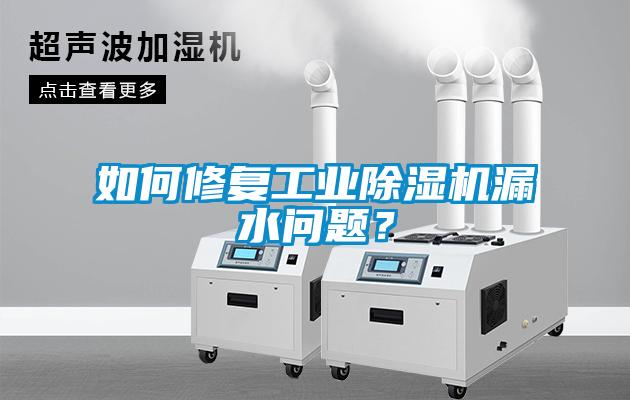 如何修複工業91看片在线下载機漏水問題？