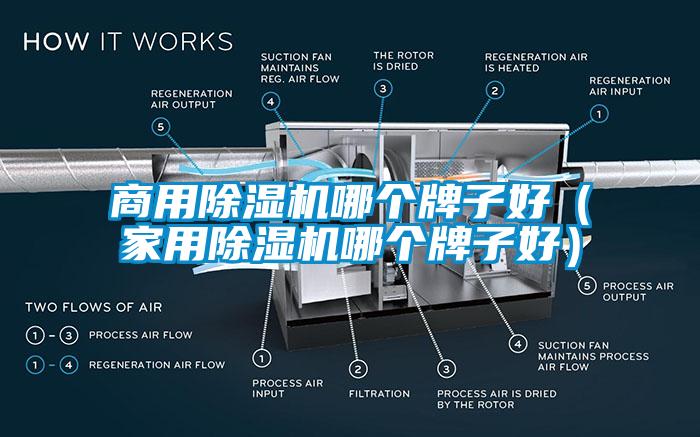 商用91看片在线下载機哪個牌子好（家用91看片在线下载機哪個牌子好）
