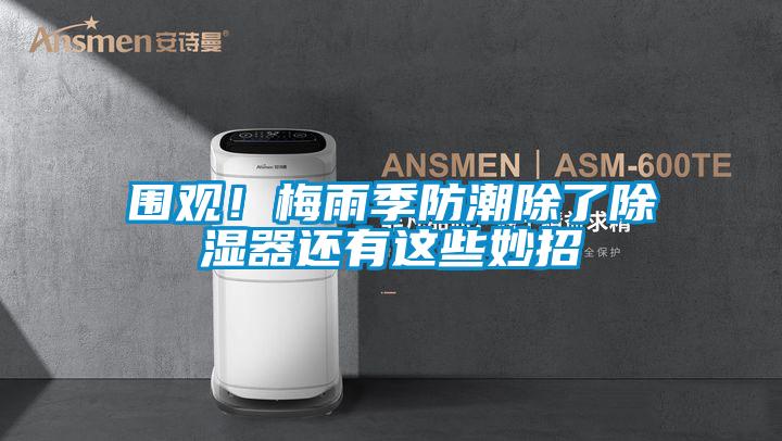 圍觀！梅雨季防潮除了91看片在线下载器還有這些妙招