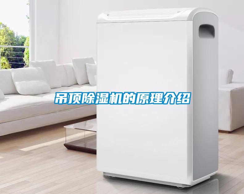 吊頂91看片在线下载機的原理介紹