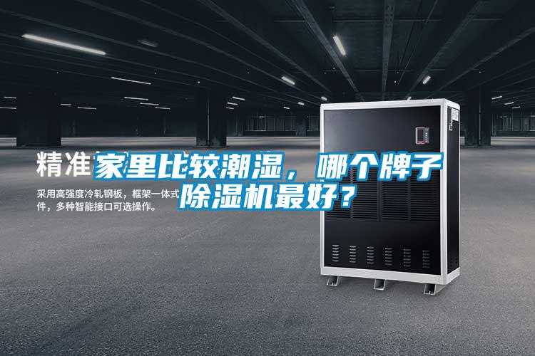 家裏比較潮濕，哪個牌子91看片在线下载機最好？