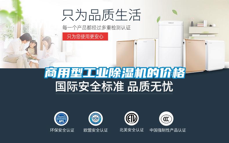 商用型工業91看片在线下载機的價格