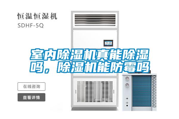 室內91看片在线下载機真能91看片在线下载嗎，91看片在线下载機能防黴嗎