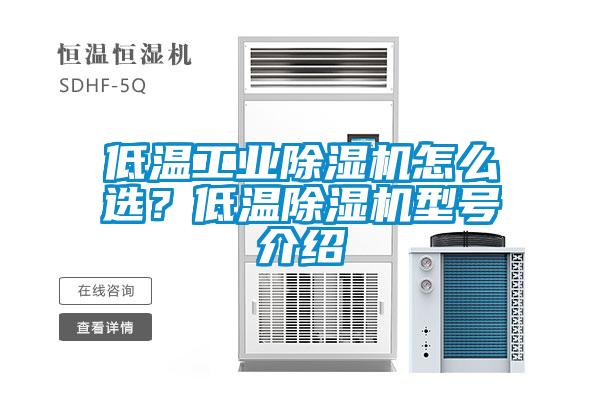 低溫工業91看片在线下载機怎麽選？低溫91看片在线下载機型號介紹