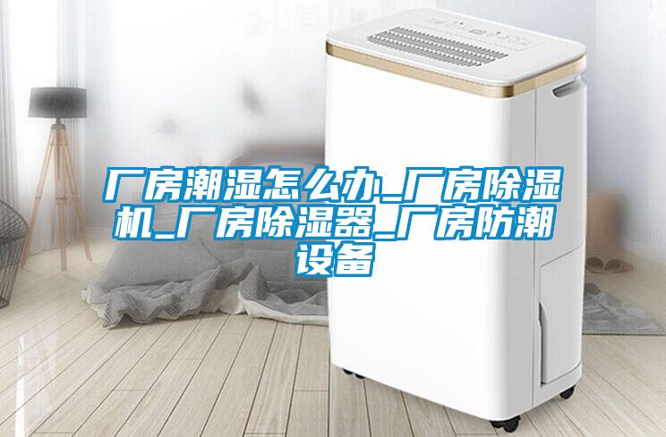 廠房潮濕怎麽辦_廠房91看片在线下载機_廠房91看片在线下载器_廠房防潮設備