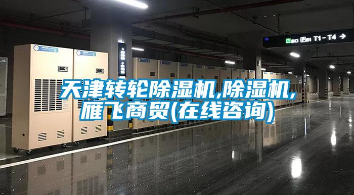 天津轉輪91看片在线下载機,91看片在线下载機,雁飛商貿(在線谘詢)