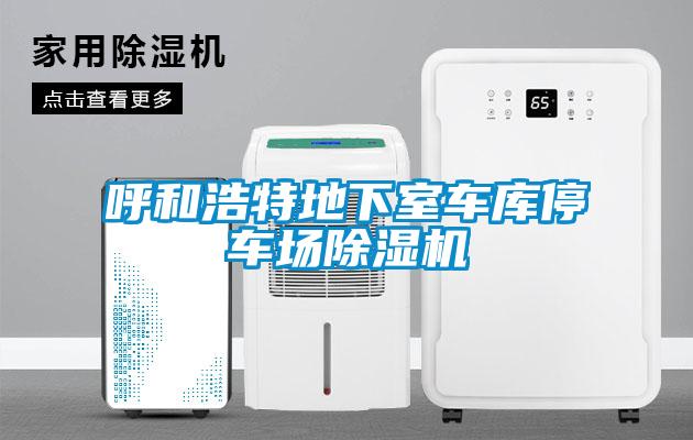 呼和浩特地下室車庫停車場91看片在线下载機