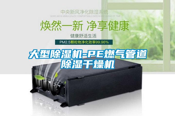 大型91看片在线下载機-PE燃氣管道91看片在线下载幹燥機