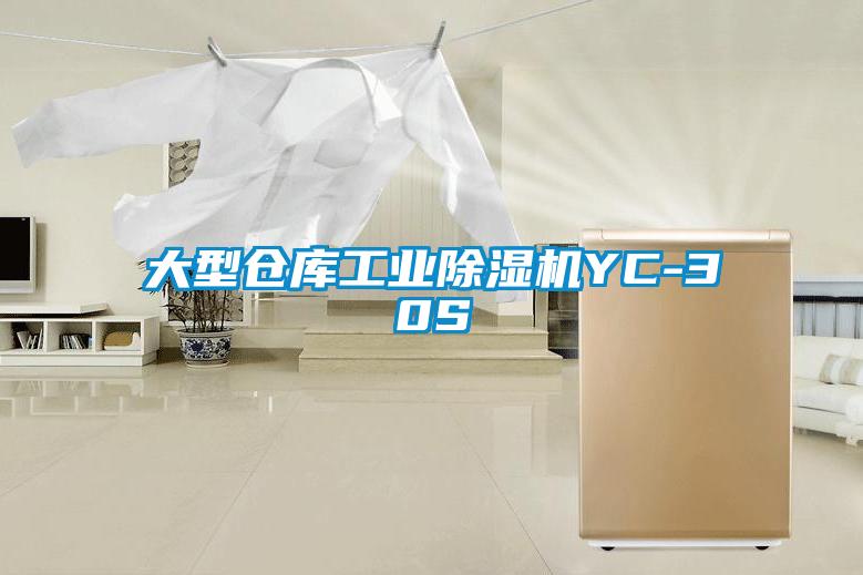 大型倉庫工業91看片在线下载機YC-30S