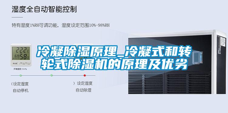 冷凝91看片在线下载原理_冷凝式和轉輪式91看片在线下载機的原理及優劣