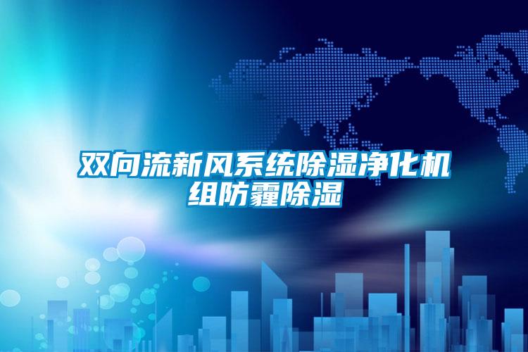 雙向流新風係統91看片在线下载淨化機組防霾91看片在线下载