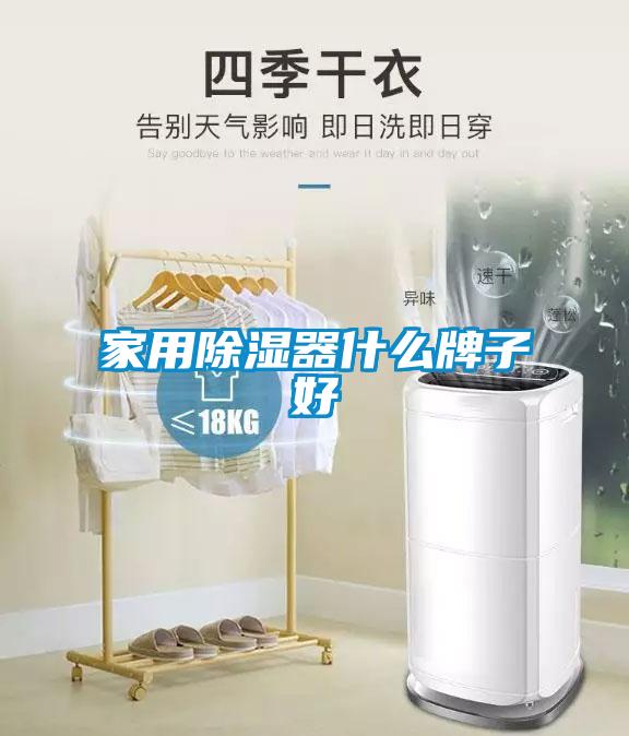 家用91看片在线下载器什麽牌子好