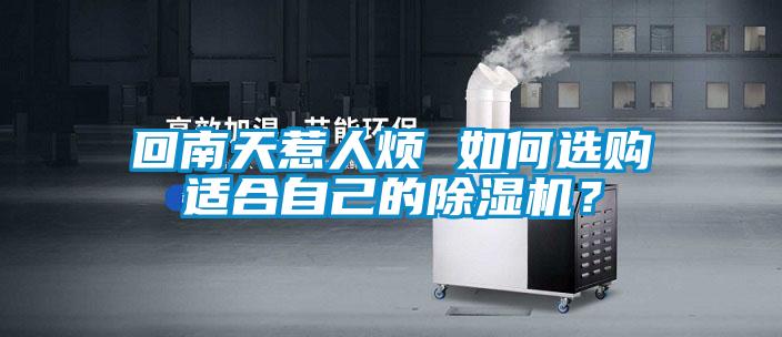 回南天惹人煩 如何選購適合自己的91看片在线下载機？