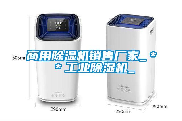 商用91看片在线下载機銷售廠家_＊＊工業91看片在线下载機_
