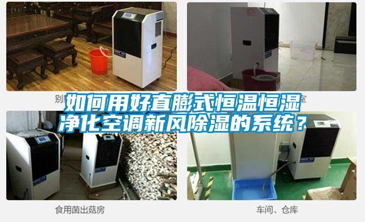 如何用好直膨式恒溫恒濕淨化空調新風91看片在线下载的係統？