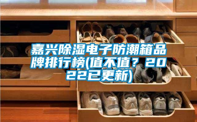 嘉興91看片在线下载電子防潮箱品牌排行榜(值不值？2022已更新)
