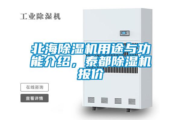 北海91看片在线下载機用途與功能介紹，泰都91看片在线下载機報價