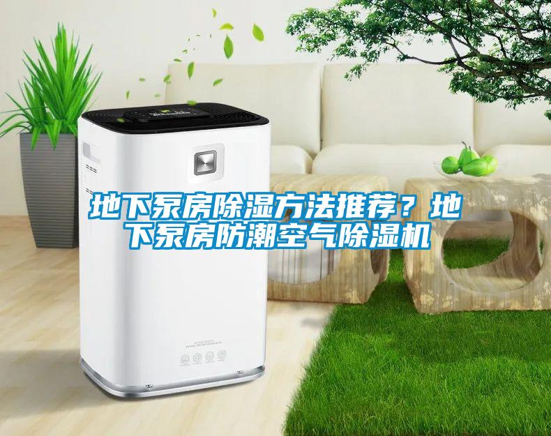 地下泵房91看片在线下载方法推薦？地下泵房防潮空氣91看片在线下载機