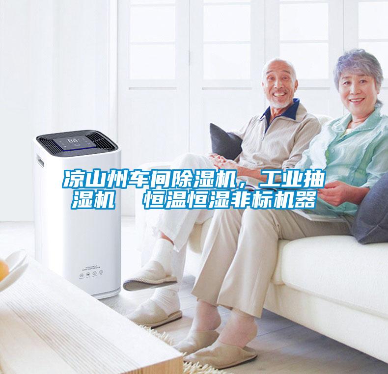 涼山州車間91看片在线下载機，工業抽濕機  恒溫恒濕非標機器