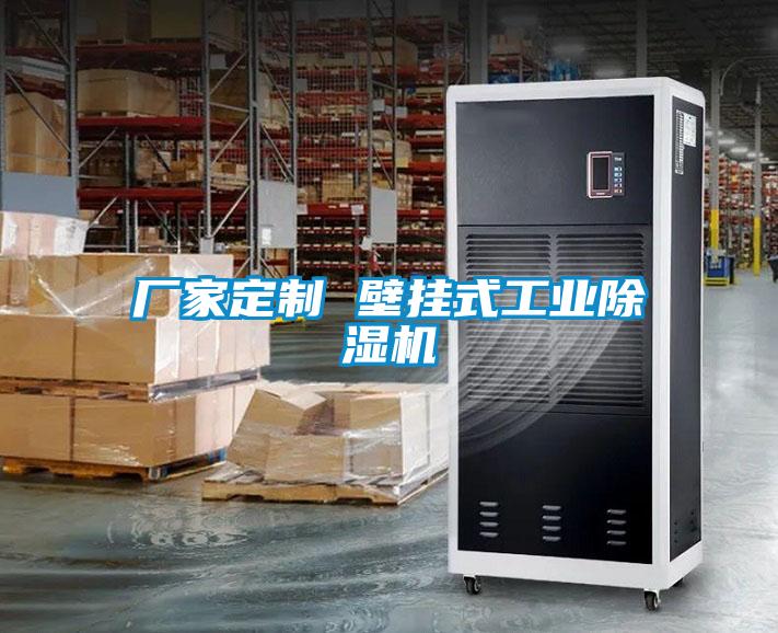 廠家定製 壁掛式工業91看片在线下载機