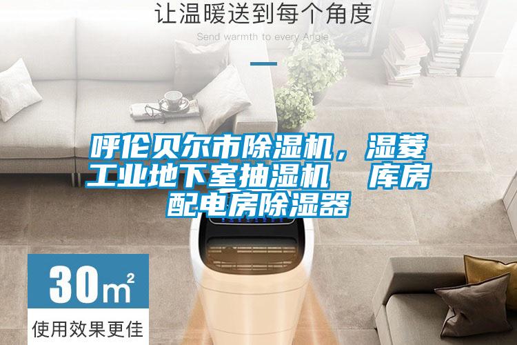 呼倫貝爾市91看片在线下载機，濕菱工業地下室抽濕機  庫房配電房91看片在线下载器