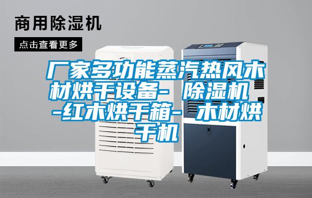 廠家多功能蒸汽熱風木材烘幹設備- 91看片在线下载機 -紅木烘幹箱- 木材烘幹機
