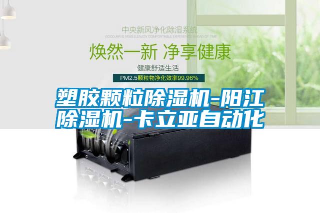 塑膠顆粒91看片在线下载機-陽江91看片在线下载機-卡立亞自動化