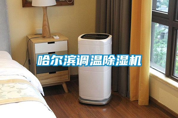 哈爾濱調溫91看片在线下载機