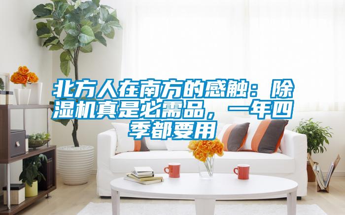 北方人在南方的感觸：91看片在线下载機真是必需品，一年四季都要用