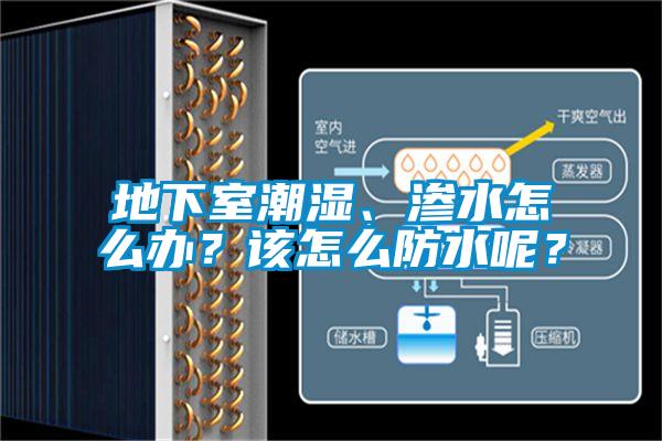 地下室潮濕、滲水怎麽辦？該怎麽防水呢？
