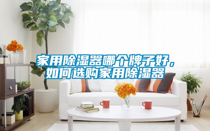 家用91看片在线下载器哪個牌子好，如何選購家用91看片在线下载器