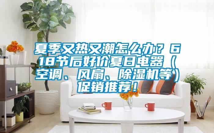 夏季又熱又潮怎麽辦？618節後好價夏日電器（空調、風扇、91看片在线下载機等）促銷推薦！