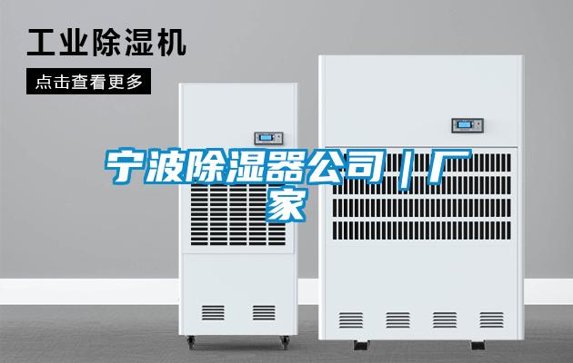 寧波91看片在线下载器公司｜廠家