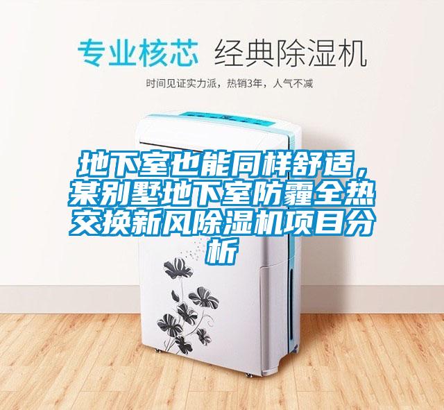 地下室也能同樣舒適，某別墅地下室防霾全熱交換新風91看片在线下载機項目分析