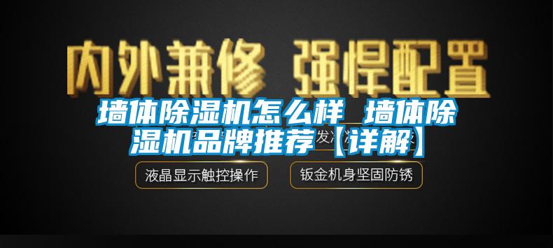 牆體91看片在线下载機怎麽樣 牆體91看片在线下载機品牌推薦【詳解】