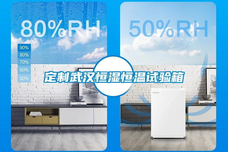 定製武漢恒濕恒溫試驗箱