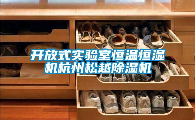 開放式實驗室恒溫恒濕機杭州鬆越91看片在线下载機