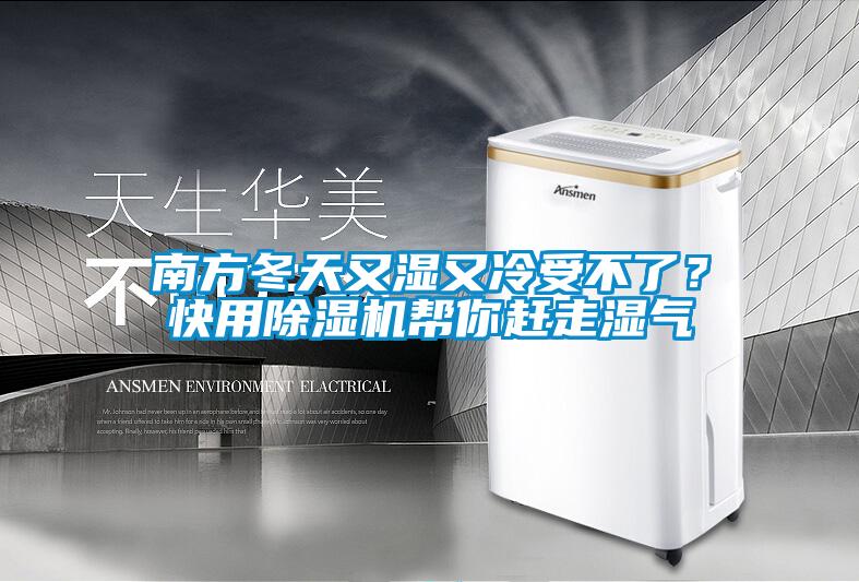 南方冬天又濕又冷受不了？快用91看片在线下载機幫你趕走濕氣