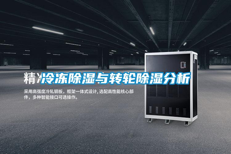 冷凍91看片在线下载與轉輪91看片在线下载分析