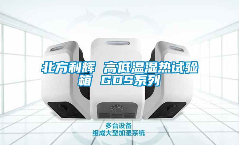 北方利輝 高低溫濕熱試驗箱 GDS係列