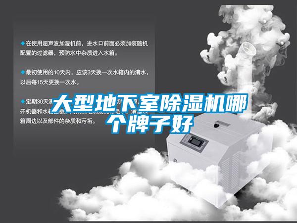 大型地下室91看片在线下载機哪個牌子好