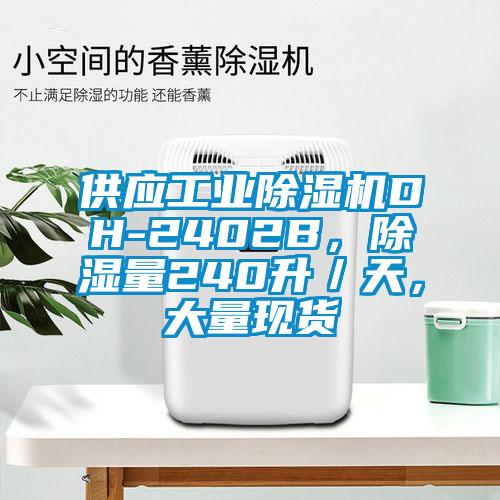 供應工業91看片在线下载機DH-2402B，91看片在线下载量240升／天，大量現貨