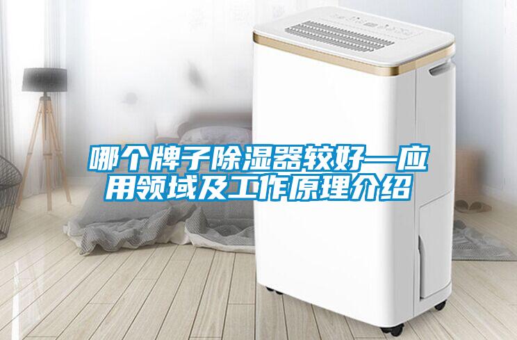 哪個牌子91看片在线下载器較好—應用領域及工作原理介紹